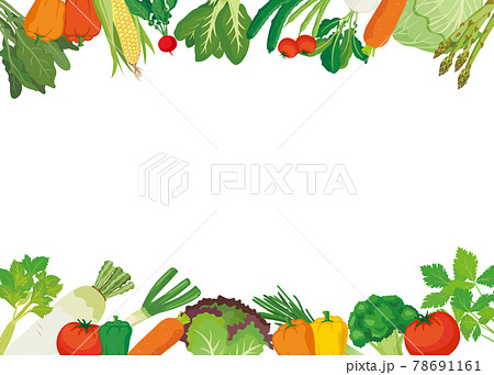 野菜フレーム 背景白 ヨコ のイラスト素材