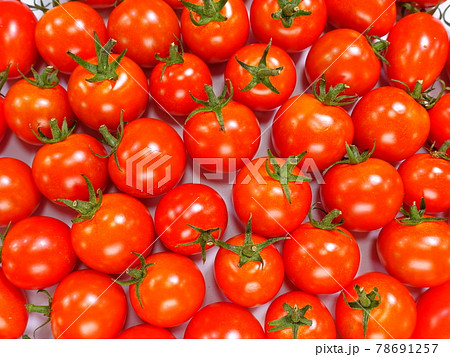 トマト　ミニトマト 78691257