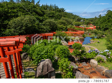 千本鳥居の全体写真2 78691787