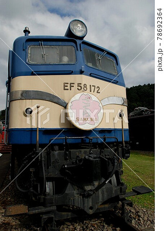 電車 EF58 172 さくら 電車 EF58 172 さくら 78692364