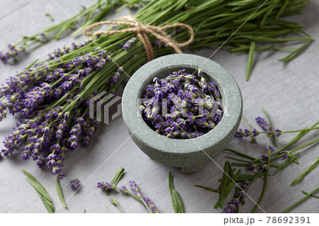 Lavender blossoms bowl on gray concrete background Lavender blossoms bowl on gray concrete background 78692391