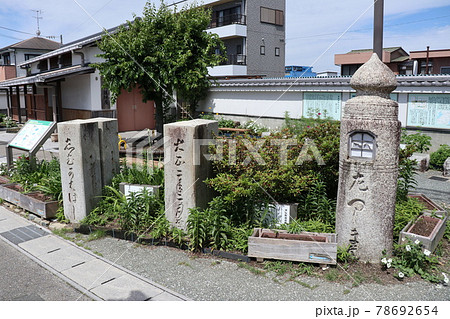 新川橋橋詰ポケットパーク 78692654