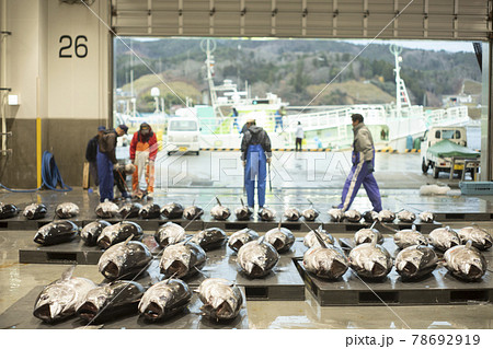 港　市場　魚　人　漁師　競り場 78692919