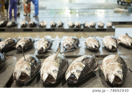 港　市場　魚　人　漁師　競り場 78692930