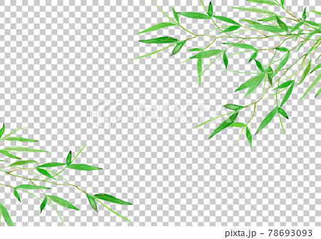 笹の葉の水彩イラストフレーム 78693093