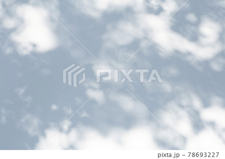 Shadow overlay effect for photo. Shadows from tree leaves and tropical branches on a white wall in sunlight. 78693227