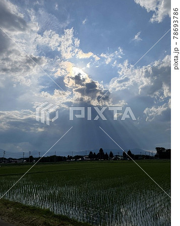 神々しく神秘的な空と水田 神々しく神秘的な空と水田 78693786
