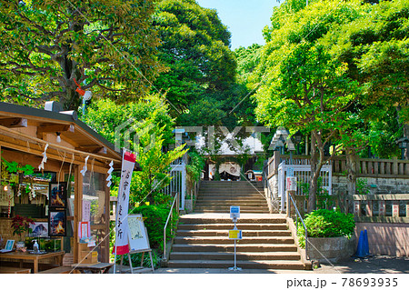 東京都　世田谷区　太子堂八幡神社 78693935