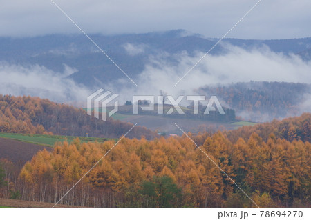 雲海の丘に立つ木_秋の遠景 78694270