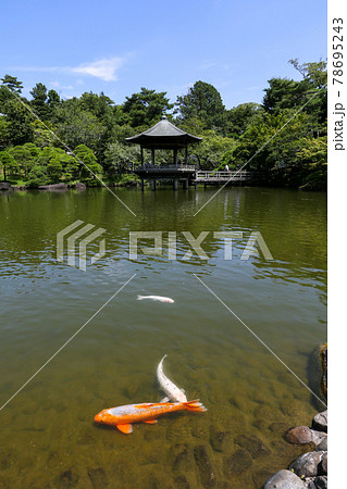 千葉県 成田市 成田山新勝寺 成田山公園 竜智の池と浮御堂 千葉県 成田市 成田山新勝寺 成田山公園 竜智の池と浮御堂 78695243