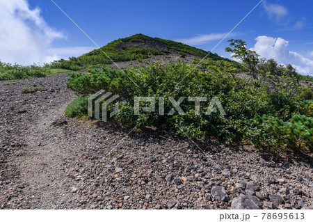 夏の南月山 78695613