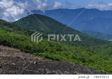 夏の白笹山 夏の白笹山 78695615