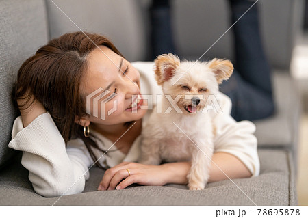 小型犬と暮らす若い女性 笑う犬の写真素材