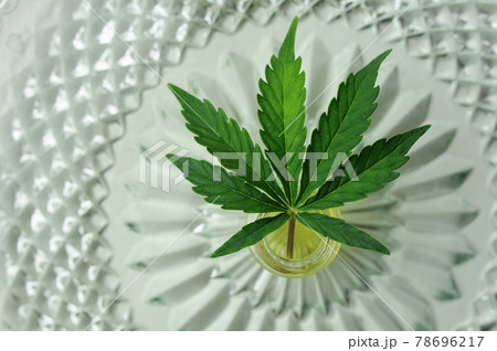 Marijuana oil, cbd recreation. Fresh cannabis leaf close up. Home relaxation, pastime therapy. 78696217