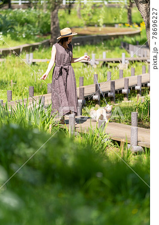 小型犬と一緒に散歩する若い女性　北柏ふるさと公園 78696227