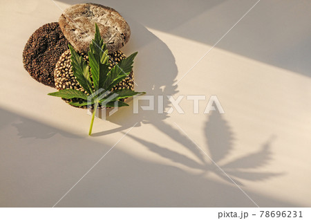 Marijuana leaf and sweets on white background. Cannabis flowers and cookies close up. Illuminated by sunlight. 78696231