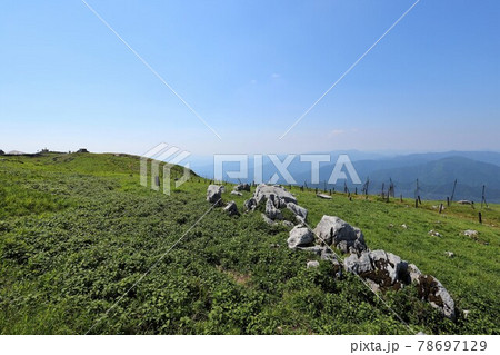 初夏の伊吹山 78697129