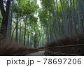 京都嵯峨野の竹林 78697206