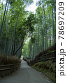 京都嵯峨野の竹林 78697209