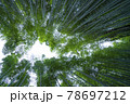 京都嵯峨野の竹林 78697212