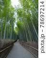 京都嵯峨野の竹林 78697214
