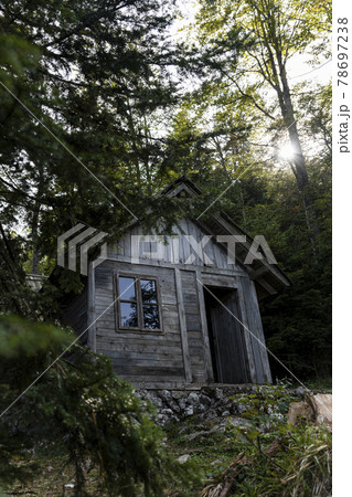 Wooden cabin in the woods at Tara mountain in Serbia 78697238
