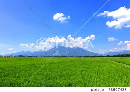 夏の田んぼと磐梯山（福島県・猪苗代町） 78697423