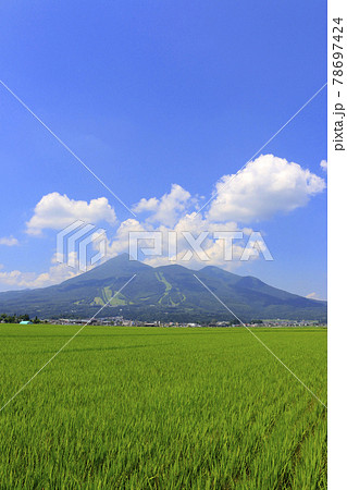 夏の田んぼと磐梯山（福島県・猪苗代町）の写真素材 [78697424] - PIXTA