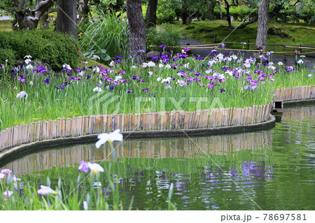 しょうざん　新緑と苔の庭　 78697581