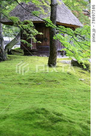 しょうざん　新緑と苔の庭　 78697586