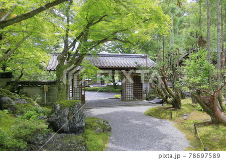 しょうざん　新緑と苔の庭　 78697589