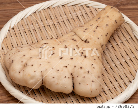 ヤマトイモ ヤマトイモ 78698275