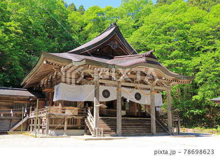 戸隠神社　中社 78698623