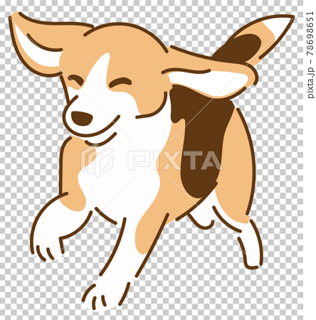 Beagle Dogs Happily Run Here Stock Illustration