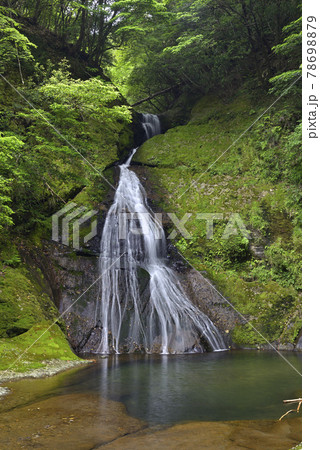 請川のお滝さん（和歌山県田辺市本宮町） 78698879