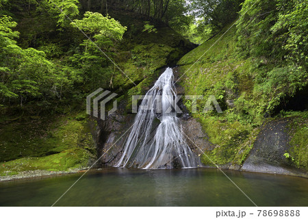 請川のお滝さん（和歌山県田辺市本宮町） 78698888