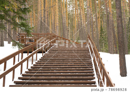 Wooden staircase in the nature reserve covered with snow. 78698928