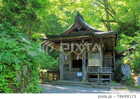 戸隠神社 九頭龍社 戸隠神社 九頭龍社 78699173