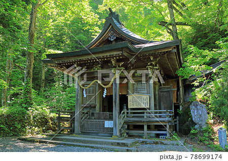 戸隠神社　九頭龍社 78699174