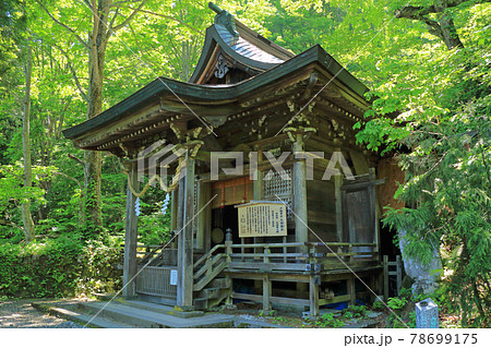戸隠神社　九頭龍社 78699175