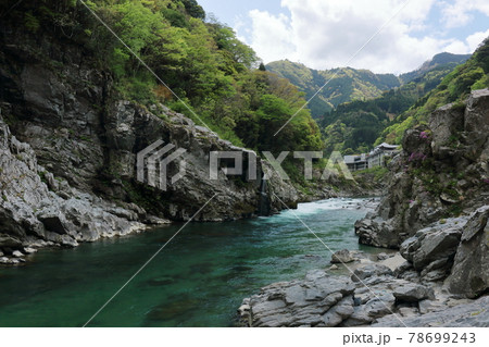 大歩危峡　新緑　(徳島県　三好市） 78699243