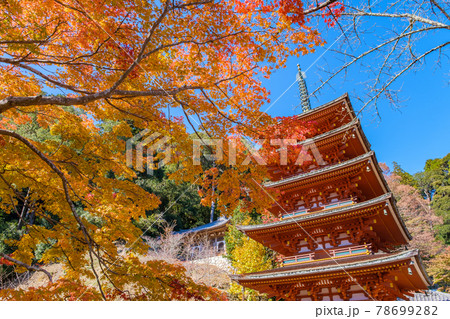 奈良 長谷寺の紅葉 奈良 長谷寺の紅葉 78699282