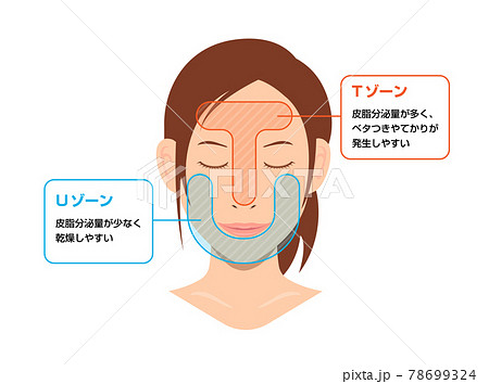顔の皮脂分泌の多い部位と少ない部位イラスト Tゾーンとuゾーン のイラスト素材