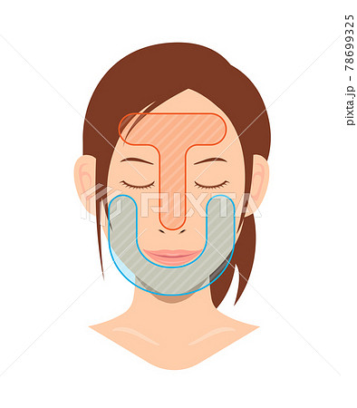 顔の皮脂分泌の多い部位と少ない部位イラスト Tゾーンとuゾーン のイラスト素材
