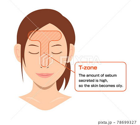 顔の皮脂分泌の多い部位 イラスト Tゾーン 英語のイラスト素材