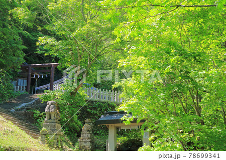 戸隠神社　奥社 78699341