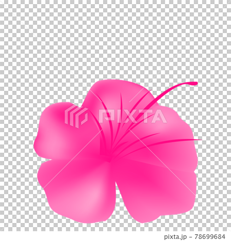 ツツジ(花のベクターイラスト) ツツジ(花のベクターイラスト) 78699684