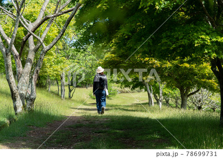 緑の中を歩く 緑の中を歩く 78699731