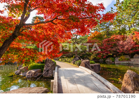 紅葉の徳川園〈愛知県名古屋市〉 78701190