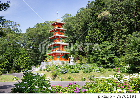 アジサイで有名な兵庫県三木市にある金剛寺の五重の塔 アジサイで有名な兵庫県三木市にある金剛寺の五重の塔 78701191